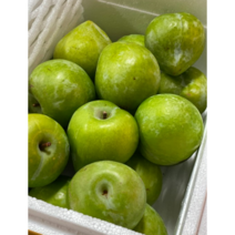 국내산 첼시 켈시 자두 1kg 2kg 청자두 푸른 제철과일 생과 그린 고당도 자두 켈시자두 청자두 꿀첼시자두 영천첼시자두 과일, 1개