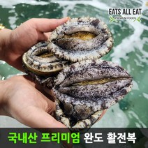 이츠올릿 국내산 완도 활전복 30-33미 1kg 키트 자연산 전복 선물 세트 기장 제주