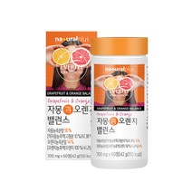 에버핏 자몽과 오렌지 농축분말 과라나 레몬밤 차전자피 식이섬유 60정 캔디 아카시아 유기농풋사과 아미노산 알로에베라 유산균19종 망고씨앗 나린진 씨네트롤 자몽과 오렌지 밸런스 효능, 1통