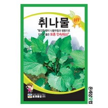 취나물 400g / 취나물씨앗 취나물씨 토속나물 주말농장 베란다텃밭 잎채소 씨앗