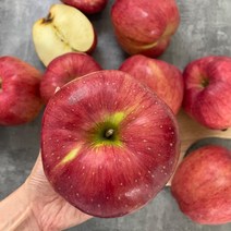 산지직송 22년 햇 부사 사과 고당도 꿀사과 경북 청송 안동, 정품 사과, 10kg 중과 (로얄) (35-38과)