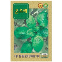 곤드레 (고려엉겅퀴) 30g/텃밭용씨앗/주말농장용채소/민속채소
