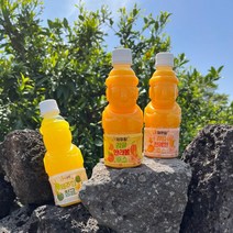 제주향 100% 착즙 감귤 한라봉 천혜향 주스 청귤 에이드 330ml, 16병