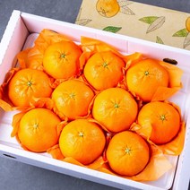 프리미엄 고당도 레드향 3kg 특품 당도선별 농장직송, 선물용 레드향 3kg (대과)