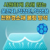 [1+1 친환경 소재]밸런스 쿨링 실리콘 방석 2컬러(미끄럼 방지 커버증정), 핑크 2개 (커버증정)