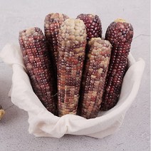 감동 옥과농협 찐 흑찰옥수수 특품 3개입 X 5팩 15cm 내외 (냉동)
