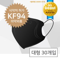 [30개입] 샤인웰 캐스터 방역마스크 황사마스크KF94 미세먼지마스크 일회용마스크 연예인마스크(검정)