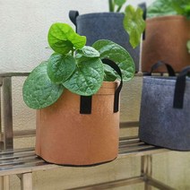 부직포 화분 베란다 텃밭 대파 키우기 2갤런 20x20, 1화분2갤런-블랙