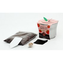 어린이 토마토 나팔꽃 키우기 캔화분 세트 실내식물 대파 상추 작물 고기채소 오이, 봉선화