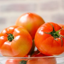 믿고 먹는 프리미엄 완숙 찰 토마토 주스 주스용, 토마토 특4kg 10-14과