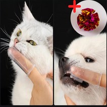 강아지 고양이 애견 실리콘 손가락 칫솔 양치 치석제거 구강 입냄새, 1개