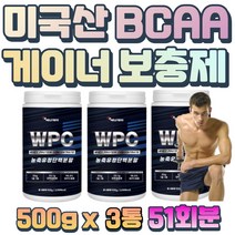 운동 단백질 헬스 보조제 체력증진 근육 영양제 프로틴 파우더 남성 남자 직장인 건강관리 알리닌 아르지닌 류신 프롤린 페닐알리닌 라이신 세린 트립토판 아스파트산 글루타민