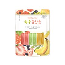 네츄럴코어 하루유산균 덴탈껌 12P 개껌, 단품