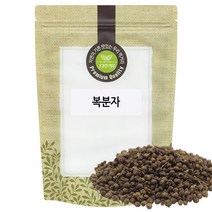 복분자 300g 국산 국내산, 상세페이지 참고, 1개