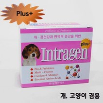 위장건강 강아지 고양이 유산균 영양제 애견영양제 애견카페 출산견 잘먹는