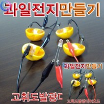 과일전지 고휘도발광다이오드 과학교구 과학실험도구, 단품