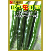 따고또따고 고추씨앗 풋고추 오이고추 씨앗 30알