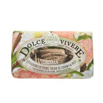 모던하우스 네스티단테 돌체 로마 AR0722009, 1개, 250g