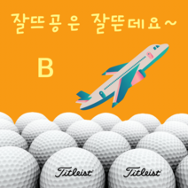 타이틀리스트 Pro V1/V1x B 급 50알 로스트볼, 50개