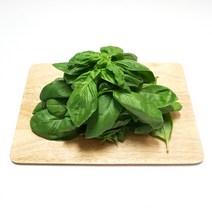 바질 1팩 50g 향신료 생 바질 바질잎