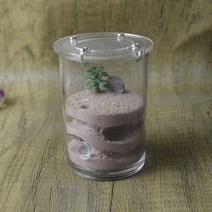 귀여운 개미 컵 둥지 아크릴 커버 석고 애완곤충 농장은 조경 테라리움, [01] 8.5x6.5cm, 03 Brown_01 8.5x6.5cm