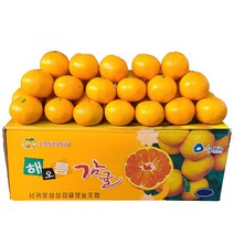 [제주푸른농원] 고당도 프리미엄 노지 감귤 5kg 10kg, 극조생 중대과 10kg