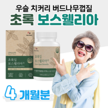 초록입 보스웰리아 하루 2정 인도산 보스웰릭산 초록 입 홍합 우슬 버드나무 껍질 치커리 홈쇼핑 영양제 프리미엄 골드 플래티넘 성분 가격 효능 비교 등산 조깅 런닝 필라테스, 4개월분, 1000mg x 60정 (하루두알)