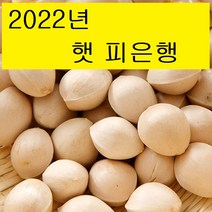 2022년 햇은행 박경철 농장 피은행 (특대/대/중) 1kg, 피은행/대 1KG, 1개