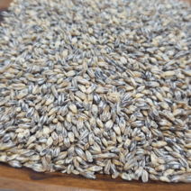 러브그레인 2021년 검정보리 쌀 블랙보리 흑보리 흑찰보리 쌀, 1개, 1kg