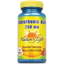 네이처라이프 판토텐산 250mg 100카운트, 판토텐산 250mg 100정, 100개
