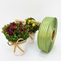 포장 리본 끈 제이제이리본 네줄오간디A15mm 25mm 40mm 20컬러 ( 길이 45M ) 공단리본, OA7
