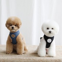 [카민프로젝트] 반려동물 베베 하네스 모음주문제작, BLUE/XL