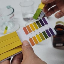 초등학교 과학 PH실험 원리 리트머스 종이