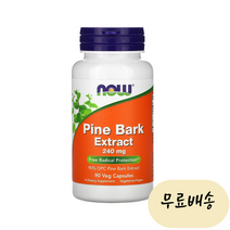 나우 푸드 파인 바크 익스트랙 소나무 껍질 추출물 240mg 식물성 캡슐 90개입 Pine Bark Extract, 1개, 90개