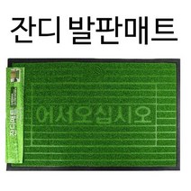삼정크린마스터 잔디매트 현관매트, 1개, 중