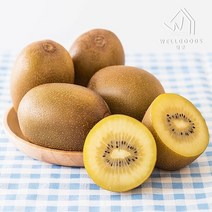 [웰굿] 산지직송 하동 고당도 골드키위5kg(41-50개 특과)