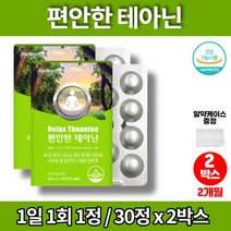 엘테아닌 THEANINE 직장인 스트레스 릴렉스 알파파 수험생 청소년 중학생 고등학생 고3 대학생 발표 긴장 영양제 GLM 청사과 멘톨 자일리톨, 2박스