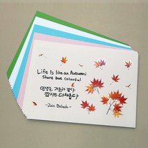 스쿨샘 엽서대회용 180g 엽서 종이 180x250mm 540매 세트