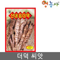 더덕씨앗 30g, 더덕씨앗(30g), 1개