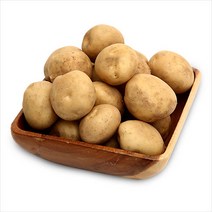 감자10kg가격 무료배송