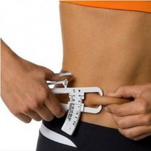 체지방측정기/피하지방측정기/지방측정/캘리퍼스/뱃살, ~ 체지방측정기(P5007)