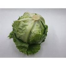[특급] 양상추 1통, 1개