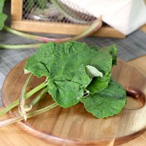 국내산 햇 우엉잎 1단 450g내외, 1개, 1단(450g내외)