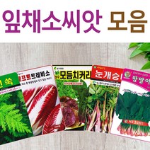 살아있는 씨앗 모음 채소씨앗 상추 쑥갓 궁채 유럽 치커리 루꼴라 치커리 청경채 시금치 파 양파 부추 도라지 곰취 더덕 곤드레 나물 내이 종자, E-익모초 x 1개, 1개