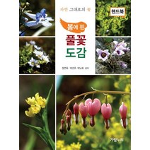 봄에 핀 풀꽃도감(핸드북):자연 그대로의 꽃, 가람누리, 정연옥,박선주,박노복 공저