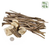 가시없는 오가피 목 파지 600g 식당용, 1개, 오가목 파지