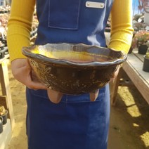 (찐다육)대형 옹기 다육화분(높이 13cm 입구 25cm)