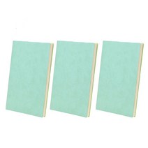 노암(NOAM) 심플 가죽 노트 3개입 SET, A6, 민트