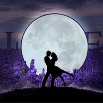 대형 달조명 스튜디오 렌탈 달 웨딩홀 컨셉 포토존 3m, 상세이페이지 참고, 따뜻한  직경 3m