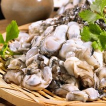 [요리하는남자들] 통영 생굴 깐굴 1kg 삼배체 하프셀 하프쉘 1단 7미 삼배체 석화 굴 석굴 각굴 2kg, 햇생굴 1kg